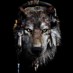DarkWolf-_-32's Avatar'