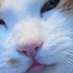 Michael__01's Avatar'