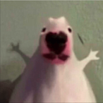 Stecky05's Avatar'