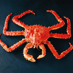 King_crab2's Avatar'