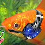 F1shnuts's Avatar'