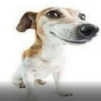 bronxAffiliate's Avatar'