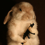 wizard_0f_aus's Avatar'