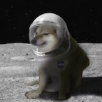 Cannonfodder08_'s Avatar'