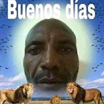 naivani's Avatar'