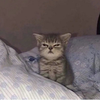 chemoneymade's Avatar'