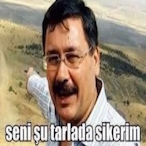kingarf7's Avatar'