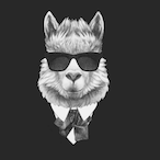 secret-lama's Avatar'