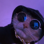 Beebus-leebus's Avatar'