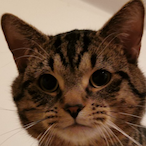 Neriiox.TSB's Avatar'