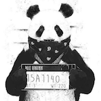 T_Hanma's Avatar'