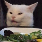 tomyPyton's Avatar'