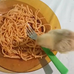 Lego_2550c01_'s Avatar'