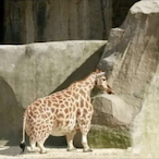 DilfPunisher's Avatar'