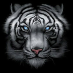 WhiteTiger98x's Avatar'