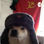 RUSSIAN_P0WER's Avatar'