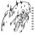 ddongjjangee's Avatar'