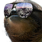 MasterSlothPT's Avatar'