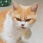 AimSoBad_.'s Avatar'