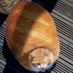 BreadCat_'s Avatar'