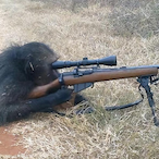 RiskyPanda's Avatar'