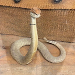 Snek.BG's Avatar'