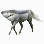 JurassicPork.'s Avatar'