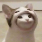 zerq recojl's Avatar'
