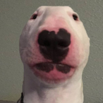 Veigess's Avatar'