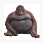 Monkey_God420's Avatar'