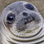 Mr.S_Burger's Avatar'