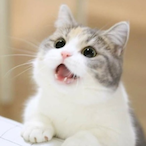 JuvvOnSabb's Avatar'