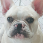 nunu4gang's Avatar'