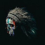 PineconeArmy's Avatar'