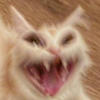 Ugh_My_Eyes.'s Avatar'