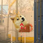 Corn.Doge's Avatar'