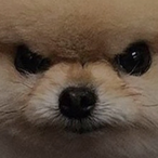 Er_delfino_'s Avatar'