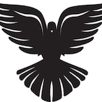 darkdove2085's Avatar'