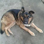 RicKy_tzn's Avatar'