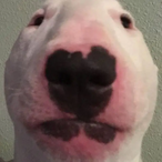Bajty_nub's Avatar'