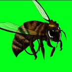 Sheriff_Bee_1's Avatar'