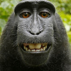 trxypz's Avatar'