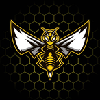 Bumble1abee's Avatar'
