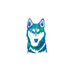 HuskyHUN's Avatar'