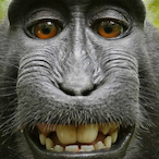 Holejob's Avatar'