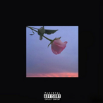 kidcardo9392's Avatar'