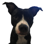 Jursh1412's Avatar'