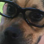 Seb1233445566's Avatar'