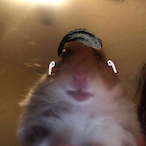 TwiggleWiggles's Avatar'
