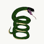 COD3XUS's Avatar'